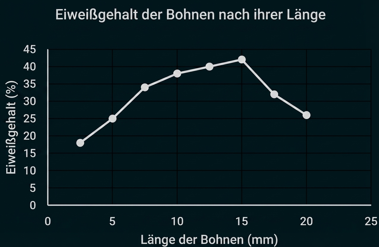 Liniendiagramm: Eiweißgehalt (%) von Bohnen nach Länge (mm); steigt bis etwa 15 mm, dann fällt er.